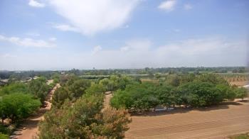 Weather camera view of Schnepf Farms.