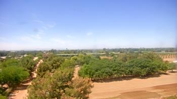 Weather camera view of Schnepf Farms.