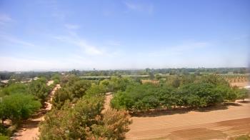 Weather camera view of Schnepf Farms.