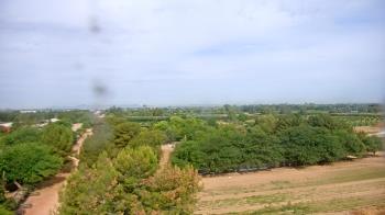 Weather camera view of Schnepf Farms.