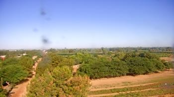 Weather camera view of Schnepf Farms.