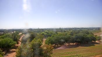 Weather camera view of Schnepf Farms.