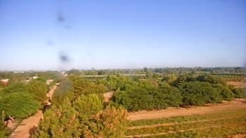 Weather camera view of Schnepf Farms.
