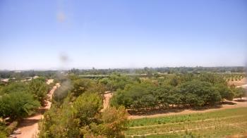 Weather camera view of Schnepf Farms.