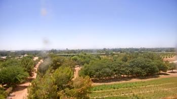 Weather camera view of Schnepf Farms.
