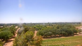 Weather camera view of Schnepf Farms.