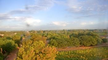 Weather camera view of Schnepf Farms.