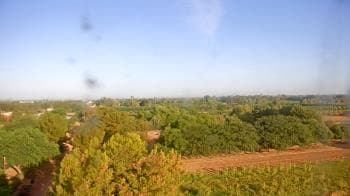 Weather camera view of Schnepf Farms.