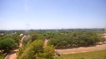 Weather camera view of Schnepf Farms.