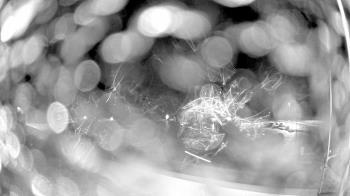 Weather camera view of North Putnam MS.