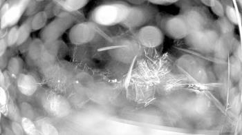 Weather camera view of North Putnam MS.