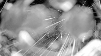 Weather camera view of North Putnam MS.