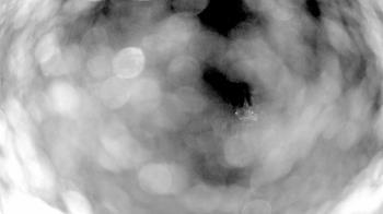 Weather camera view of North Putnam MS.