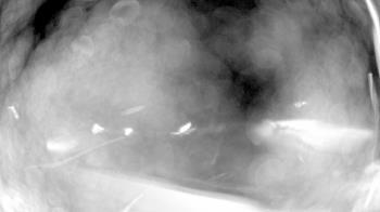 Weather camera view of North Putnam MS.