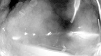 Weather camera view of North Putnam MS.