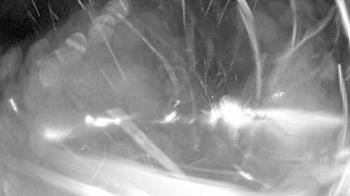 Weather camera view of North Putnam MS.