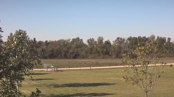 Weather camera view of Long Acres Ranch.