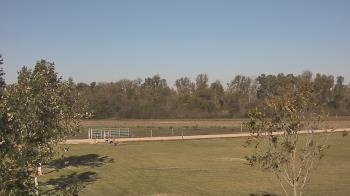 Weather camera view of Long Acres Ranch.
