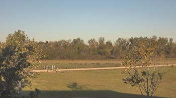 Weather camera view of Long Acres Ranch.