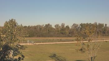 Weather camera view of Long Acres Ranch.