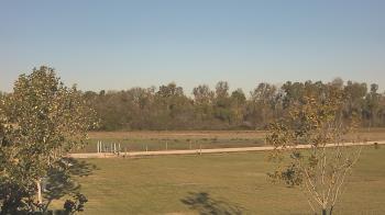 Weather camera view of Long Acres Ranch.