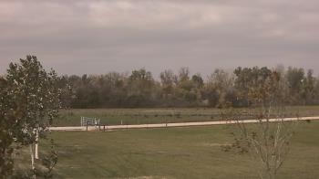 Weather camera view of Long Acres Ranch.