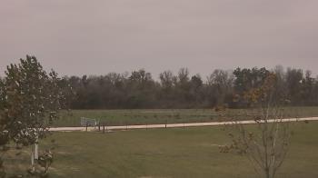Weather camera view of Long Acres Ranch.