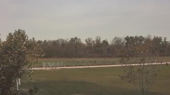 Weather camera view of Long Acres Ranch.