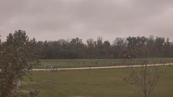 Weather camera view of Long Acres Ranch.