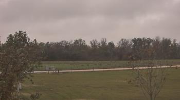 Weather camera view of Long Acres Ranch.