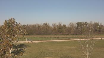 Weather camera view of Long Acres Ranch.