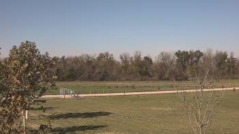 Weather camera view of Long Acres Ranch.