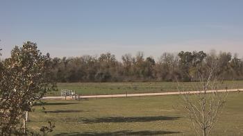 Weather camera view of Long Acres Ranch.
