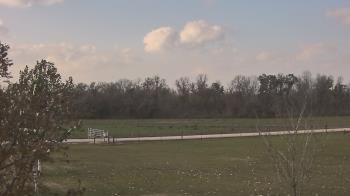 Weather camera view of Long Acres Ranch.
