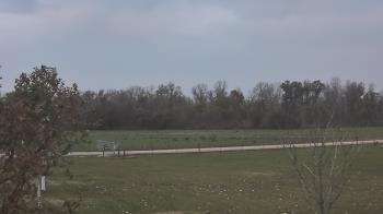 Weather camera view of Long Acres Ranch.