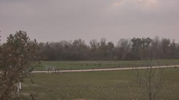 Weather camera view of Long Acres Ranch.