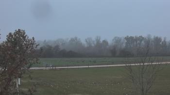 Weather camera view of Long Acres Ranch.