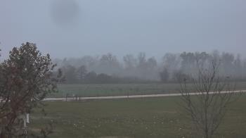 Weather camera view of Long Acres Ranch.