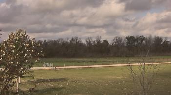 Weather camera view of Long Acres Ranch.
