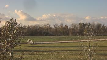 Weather camera view of Long Acres Ranch.