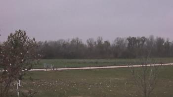 Weather camera view of Long Acres Ranch.