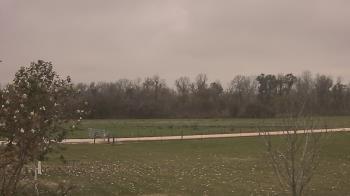 Weather camera view of Long Acres Ranch.