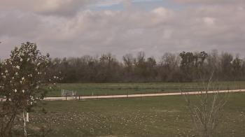 Weather camera view of Long Acres Ranch.