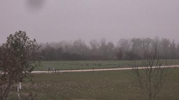 Weather camera view of Long Acres Ranch.