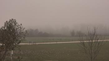 Weather camera view of Long Acres Ranch.