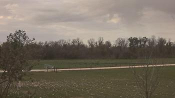 Weather camera view of Long Acres Ranch.