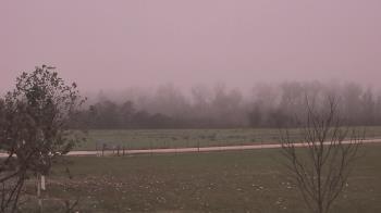 Weather camera view of Long Acres Ranch.