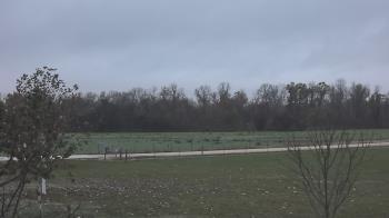 Weather camera view of Long Acres Ranch.