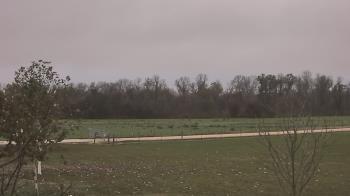 Weather camera view of Long Acres Ranch.