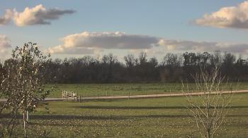 Weather camera view of Long Acres Ranch.